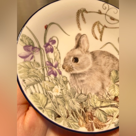 Royal Kendal English Rabbit Plate The Sheila Mannes Abbott Collection 4.75"W Fin - Picture 3 of 11